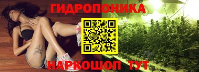 СК Новодвинск