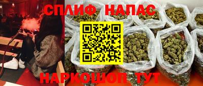 СК Новодвинск