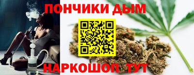 СК Новодвинск