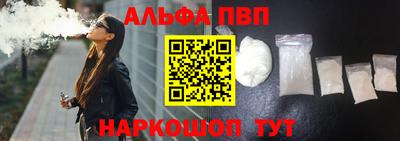 СК Новодвинск